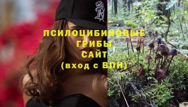 стафф Новозыбков