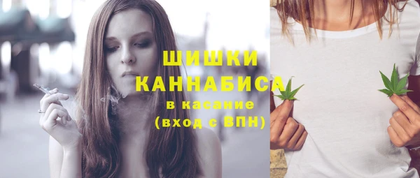 СК Няндома