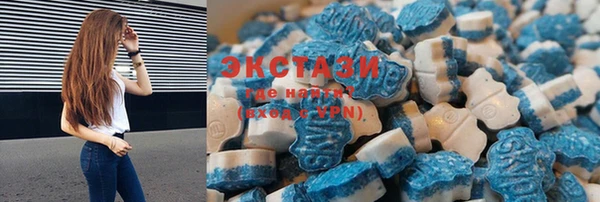 стафф Новозыбков