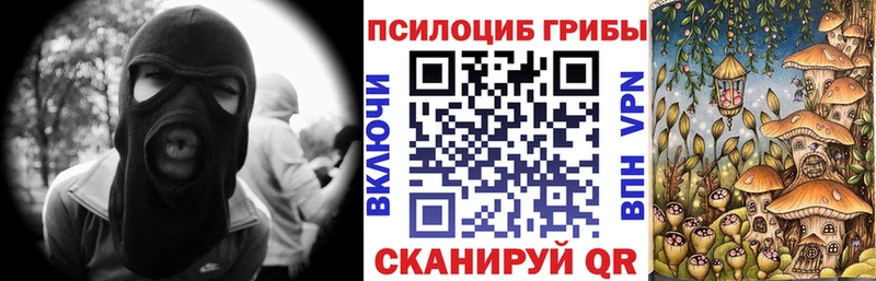 дарнет шоп  Киреевск  Галлюциногенные грибы мухоморы 