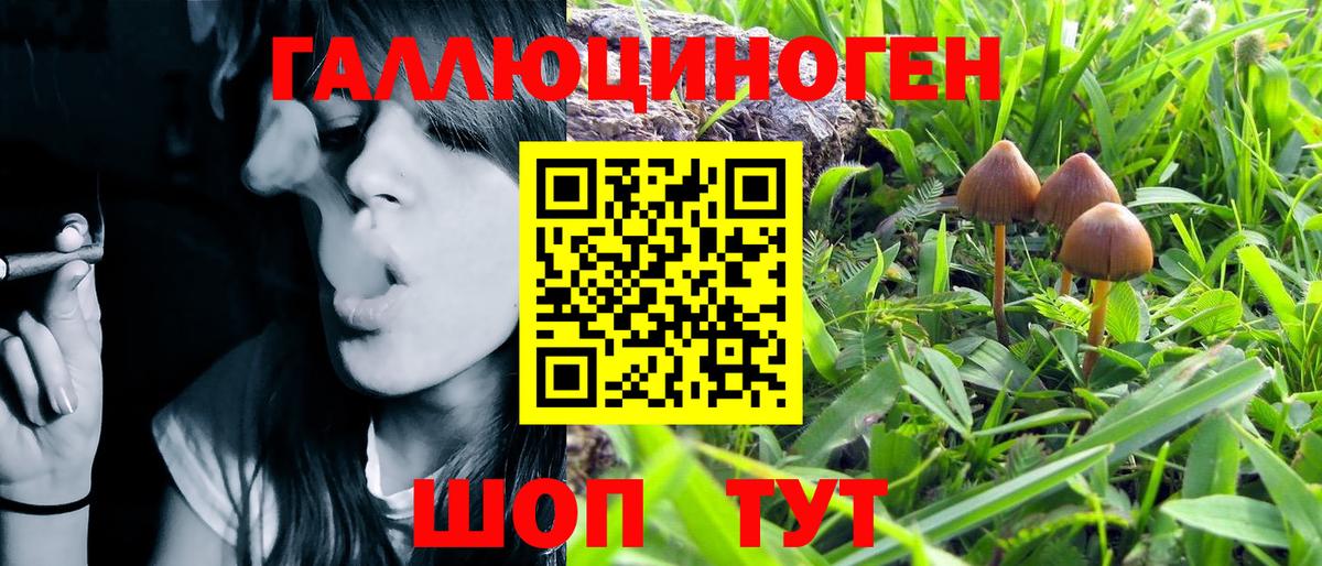 Псилоцибиновые грибы GOLDEN TEACHER Киреевск