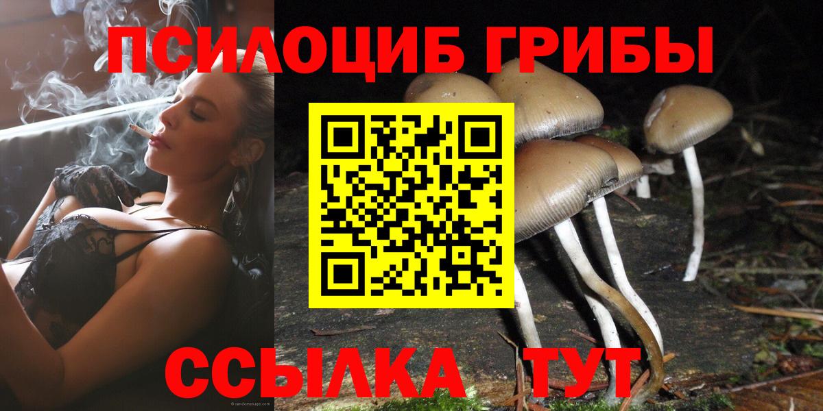 Галлюциногенные грибы Psilocybine cubensis  Вход с VPN  Галлюциногенные грибы прущие грибы  как найти закладки  Киреевск 
