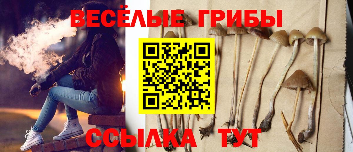 Псилоцибиновые грибы мухоморы Киреевск